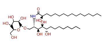 Phacelliacerebroside A